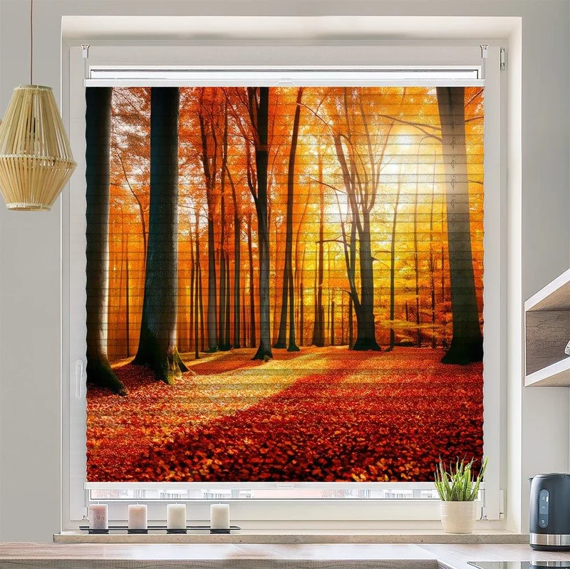 Wabenplissee Motiv "Herbst Wald Sonne"