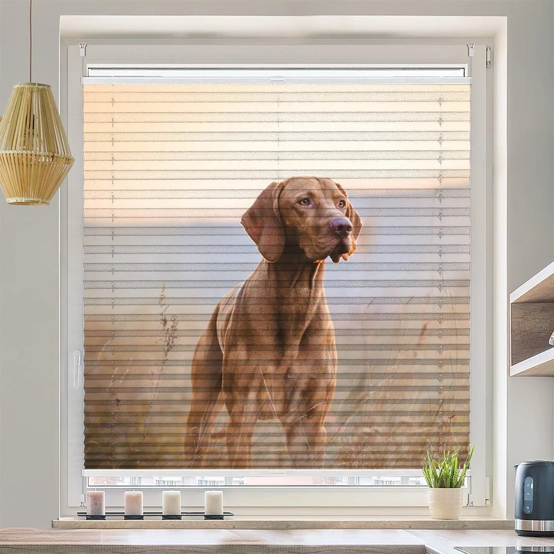 Wabenplissee Motiv "Jagdhund Vizsla Feld"