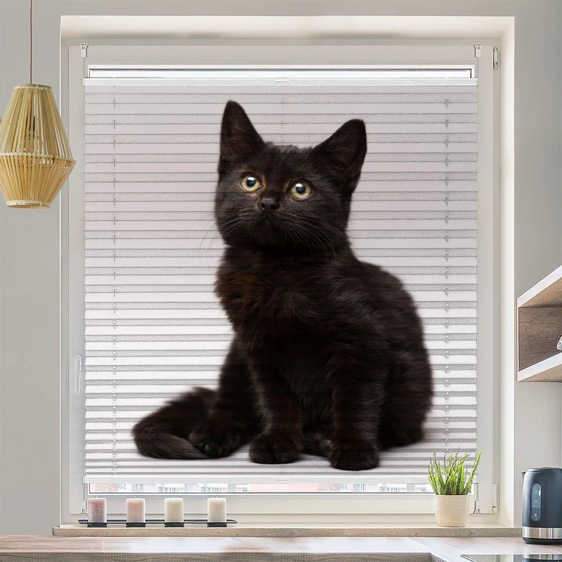 Wabenplissee Motiv "Katze Schwarz Kitten"