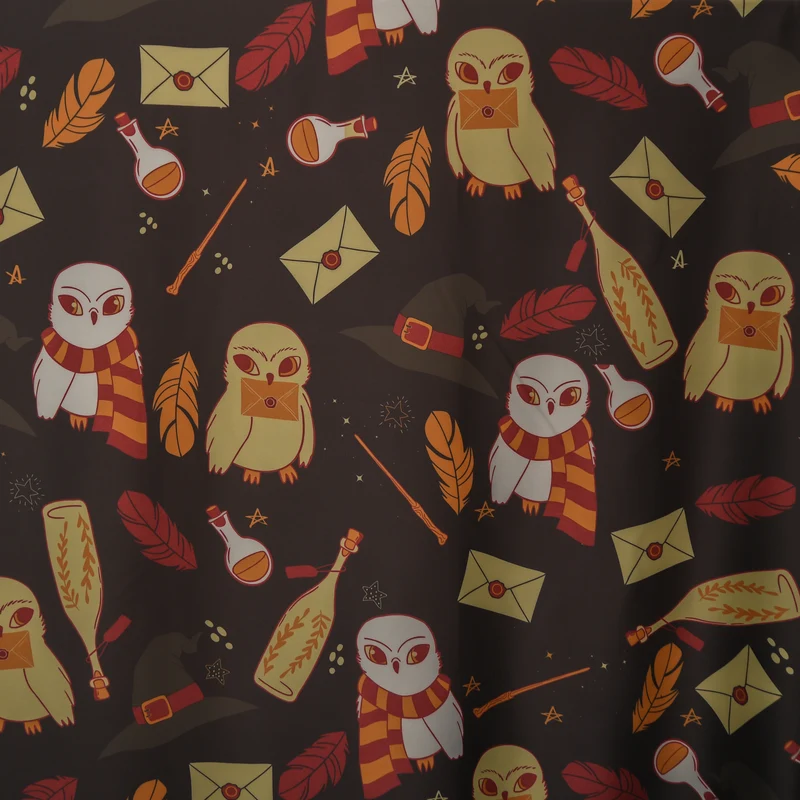 Fertigvorhang HARRY POTTER