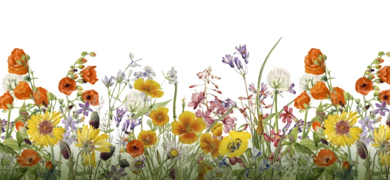 Schlaufenpanneau "Blumen" gelb-rot - Kurzvorhang von Albani