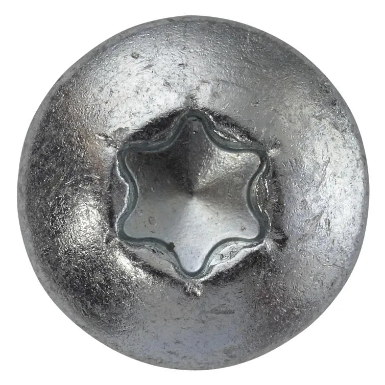 innenvielzahnschr. pan head vz 5,0x30mm