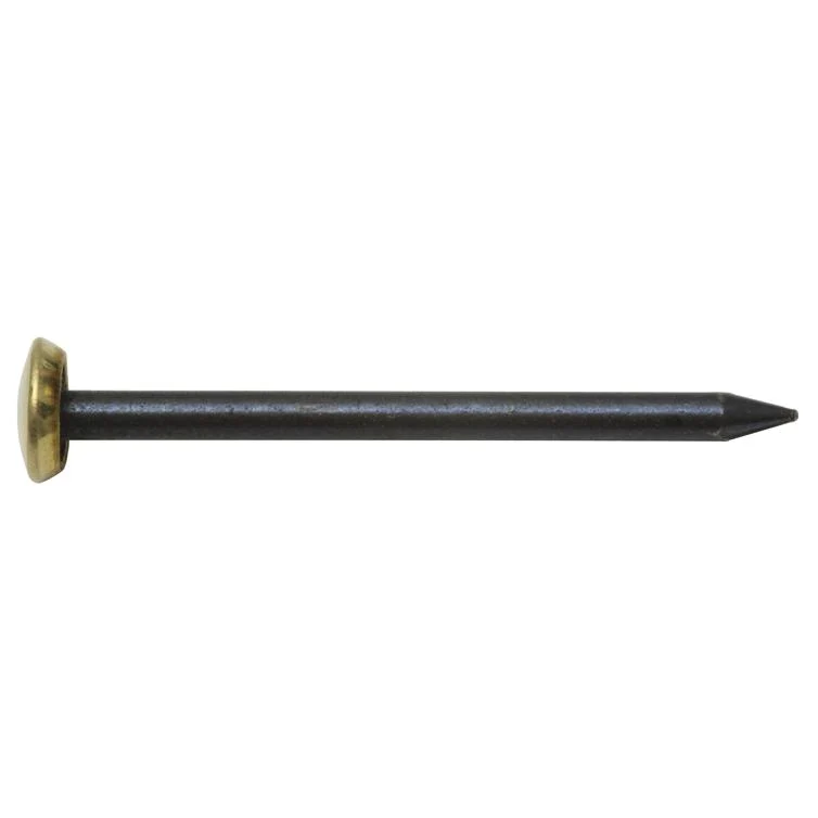 bildernägel blau messingkopf ø2,0x40 mm