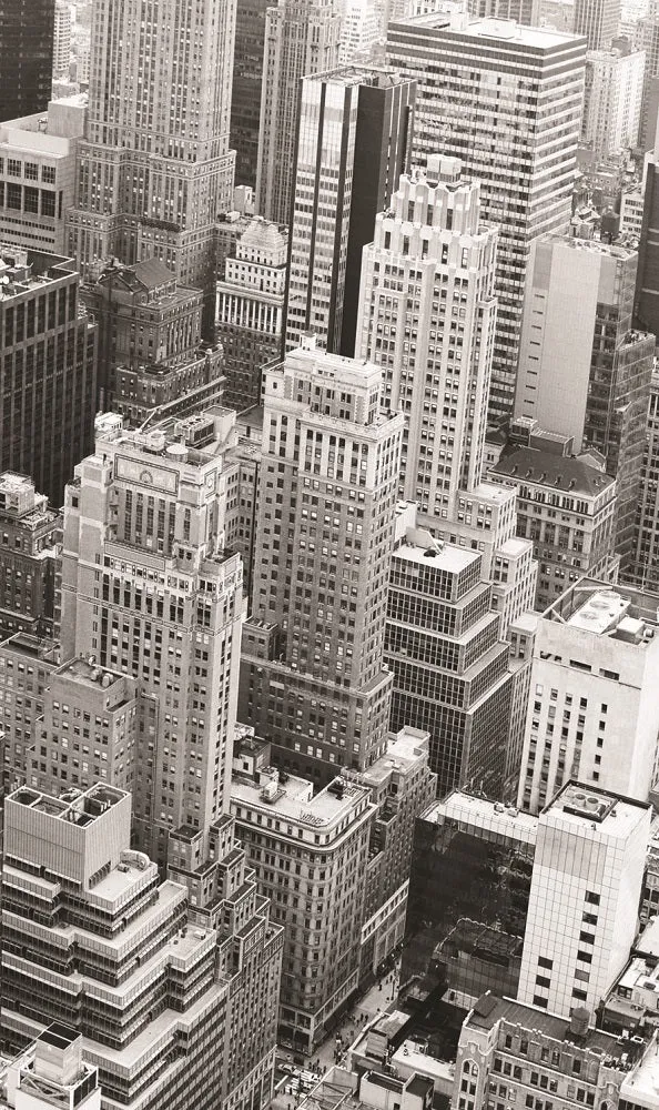 Digi Rollo Sichtschutz digital bedruckt Stadt New York