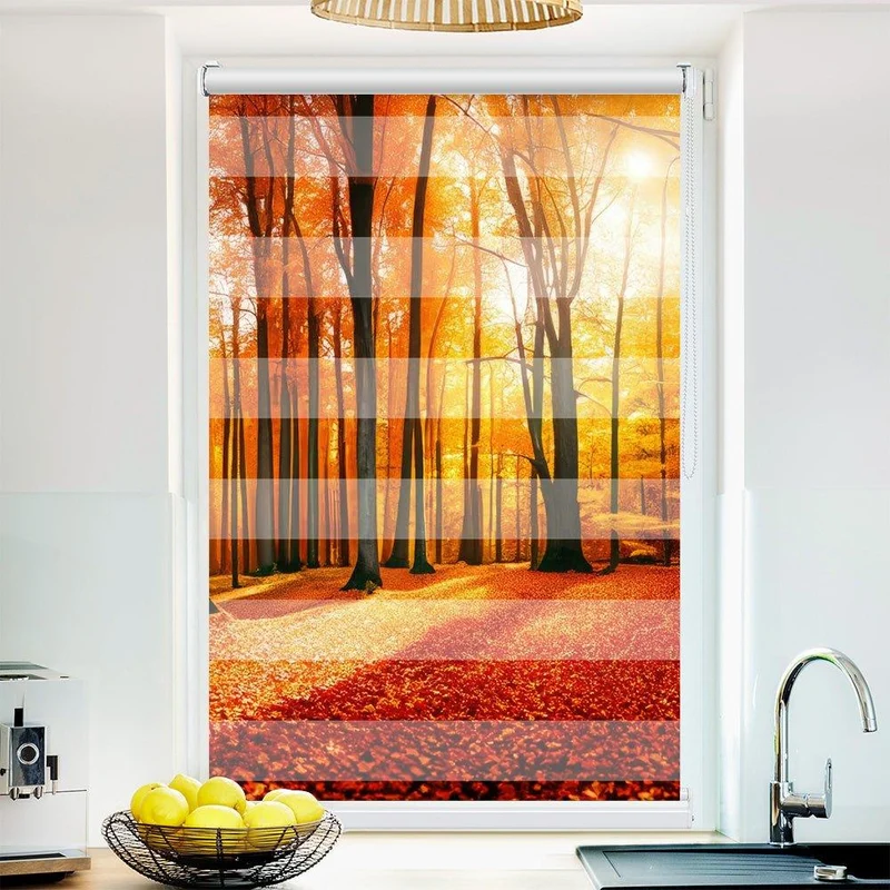 Klemmfix Doppelrollo "Herbst Wald Sonne" | Klemm Doppelrollo