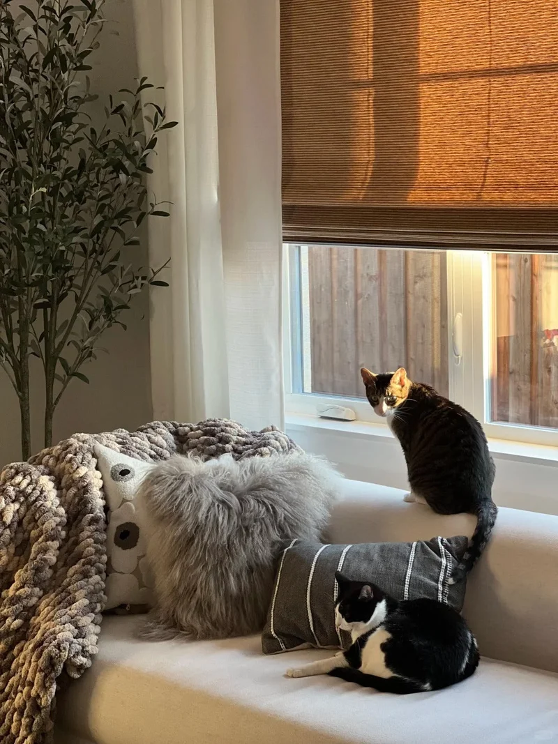 EASEEASE × Rita | Costco Edition Linen Bamboo Roman Shades