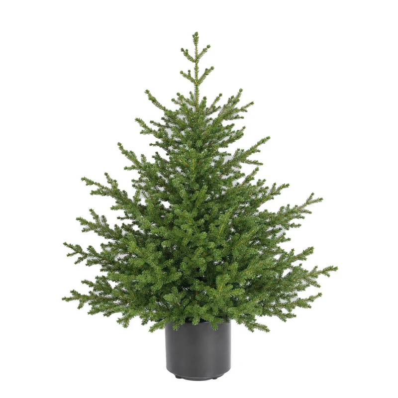 Salcar Künstlicher Weihnachtsbaum Fichte – Extra dicht & naturgetreu, bis zu 99 % PE, 90–210 cm