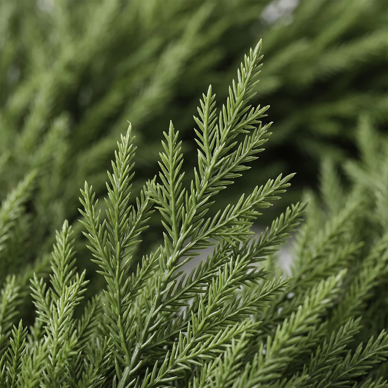 Salcar Künstliche Tannengirlande aus 100 % PE – Naturgetreue Weihnachtsgirlande, extra dicht, 3 m / 5 m