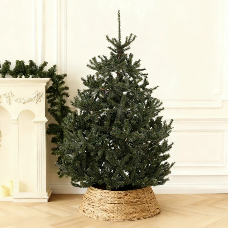 Salcar Künstlicher Nordmanntannen Weihnachtsbaum – Ultra-realistisch, 180 cm / 210 cm, 1118 / 1512 Spitzen, Dicht & Langlebig für Innen- und Außenbereich