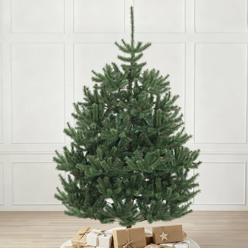 Salcar Künstlicher Weihnachtsbaum Nordmanntanne – Ultra-realistisch, 180 cm / 210 cm mit 1118 / 1512 Spitzen, Dicht & Robus, Für Innen- & Außenbereich