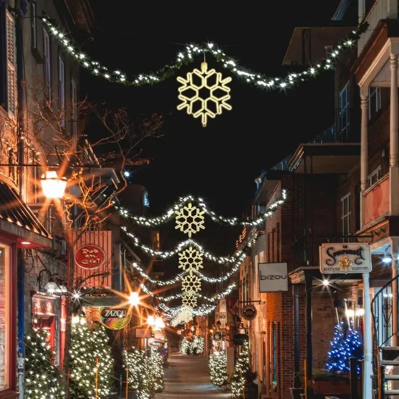 Salcar 40 cm LED Schneeflocke Neonlicht