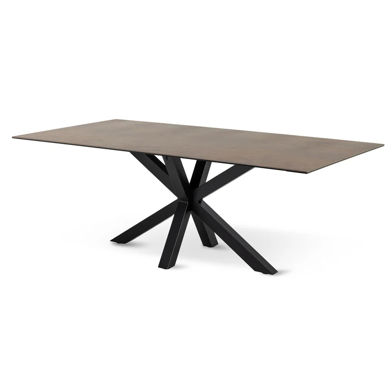 Esstisch 200x76 cm im modernen Stil | Oryss