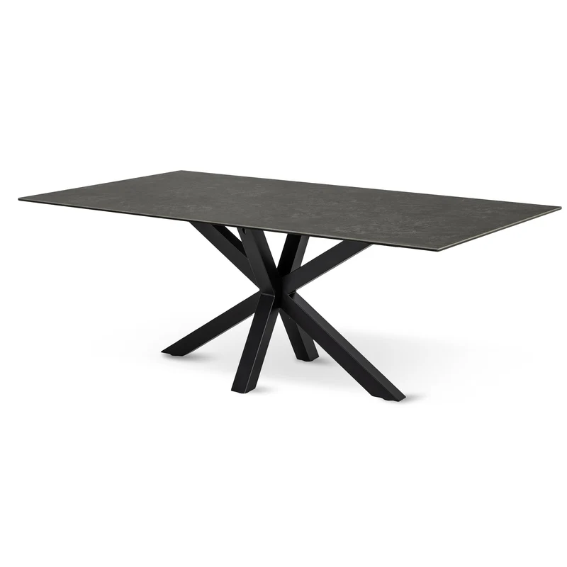 Esstisch 200x76 cm im modernen Stil | Oryss