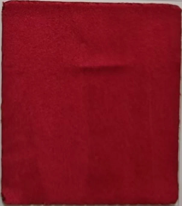 Rideau Occultant Velours Rouge Bordeaux Chambre
