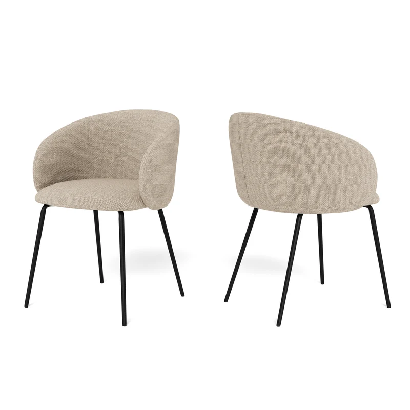 Set aus zwei Esszimmerstühlen im modernen Stil | Delmo