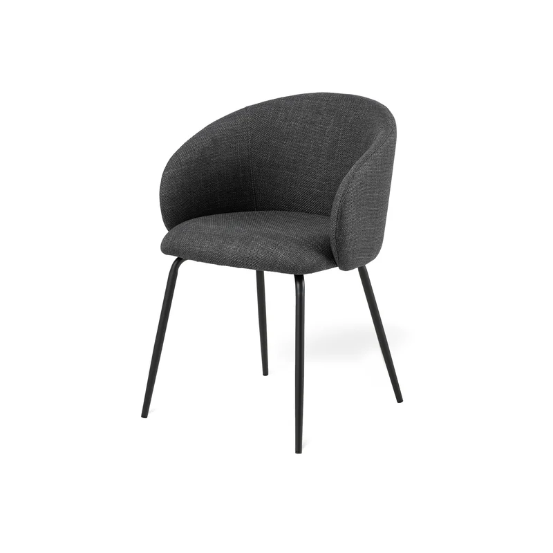 Set aus zwei Esszimmerstühlen im modernen Stil | Delmo