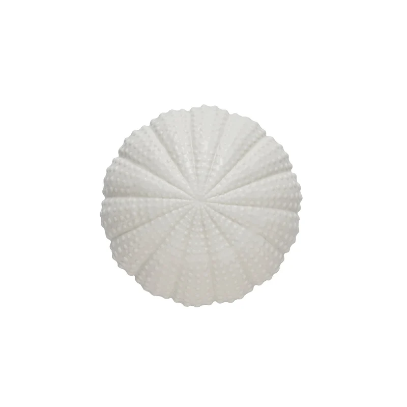 Shellille-Dekoration Seeigel D15,5 H8 Weiß