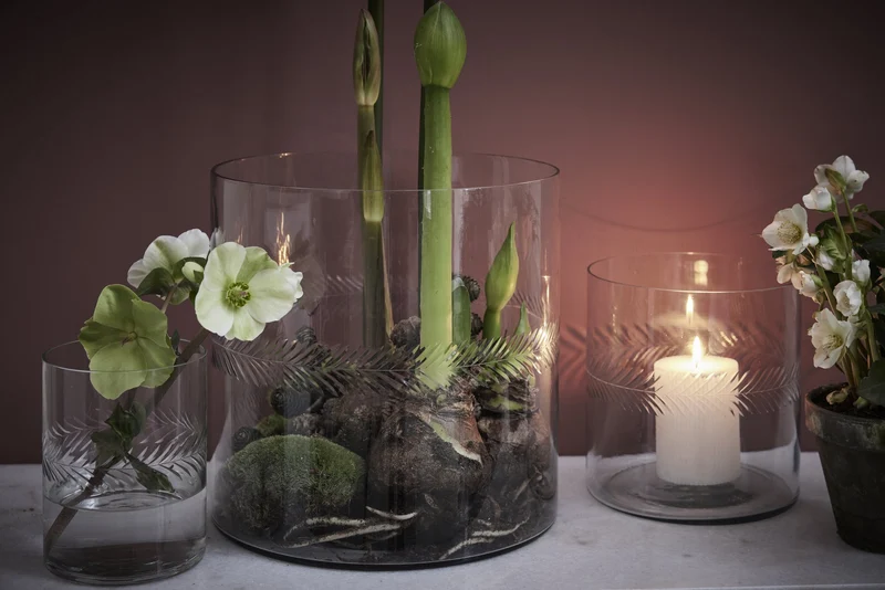 Carla Vase H16,5 cm. transparent