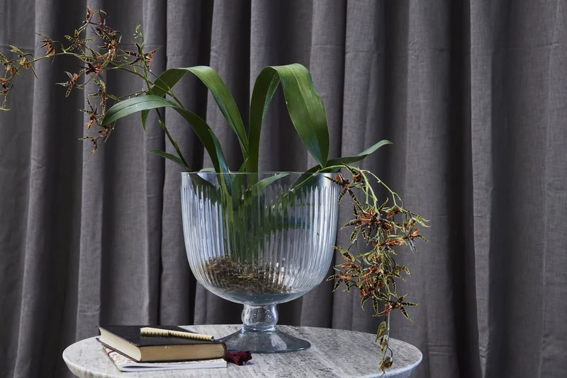 Carla Vase H20 cm. transparent