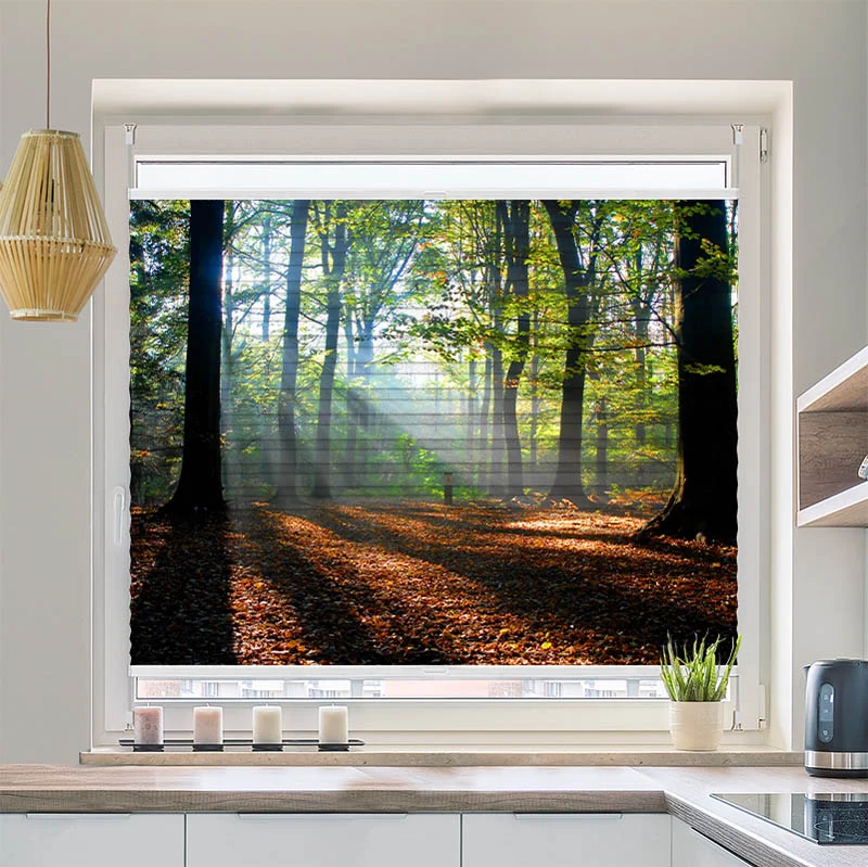 Wabenplissee Motiv "Wald Laub Sonne"