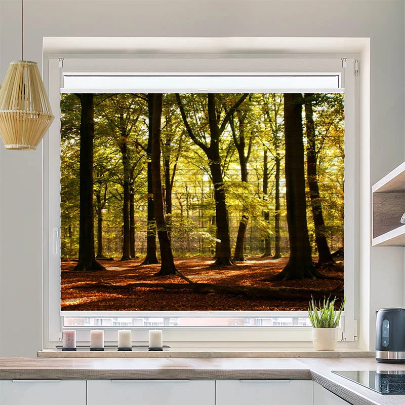 Wabenplissee Motiv "Wald Sonnenstrahlen"