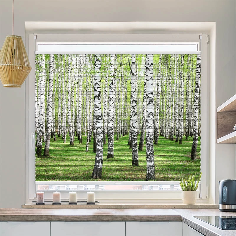 Wabenplissee Motiv "Birkenwald"
