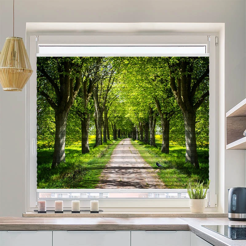 Wabenplissee Motiv "Schoene Allee"