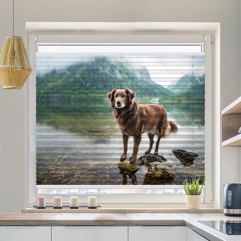 Wabenplissee Motiv "Hund am Bergsee"