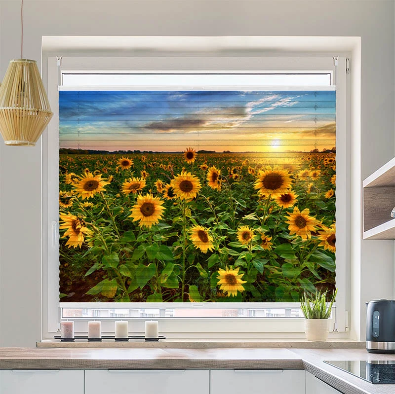 Wabenplissee Motiv "Sonnenblumenfeld Sonnenaufgang"