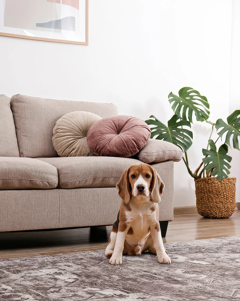 Diana's Garden Deep Taupe Washable Area Rug