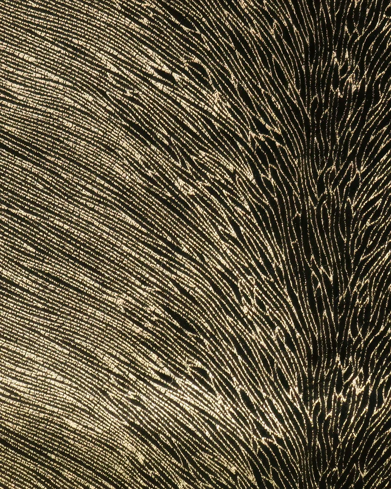 Palma Foil Printed Velvet Patterned Custom Curtain | Designed in Italy