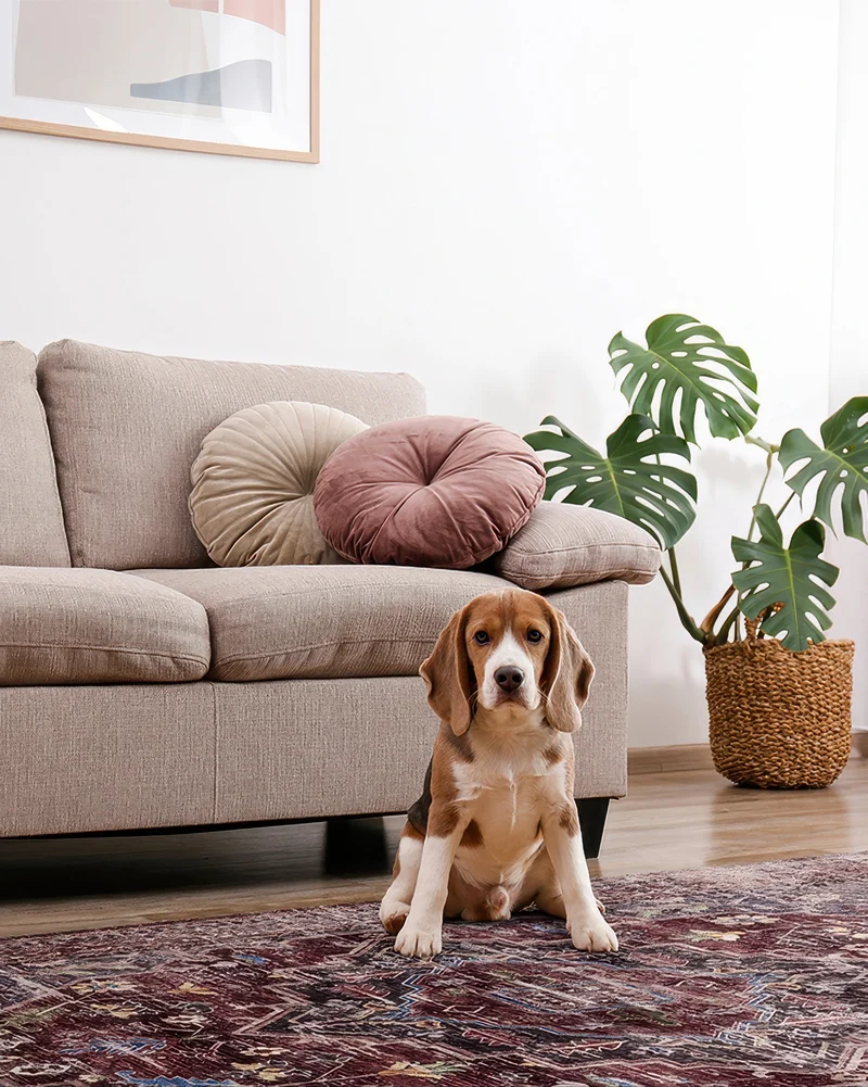 Diana's Garden Washable Area Rug