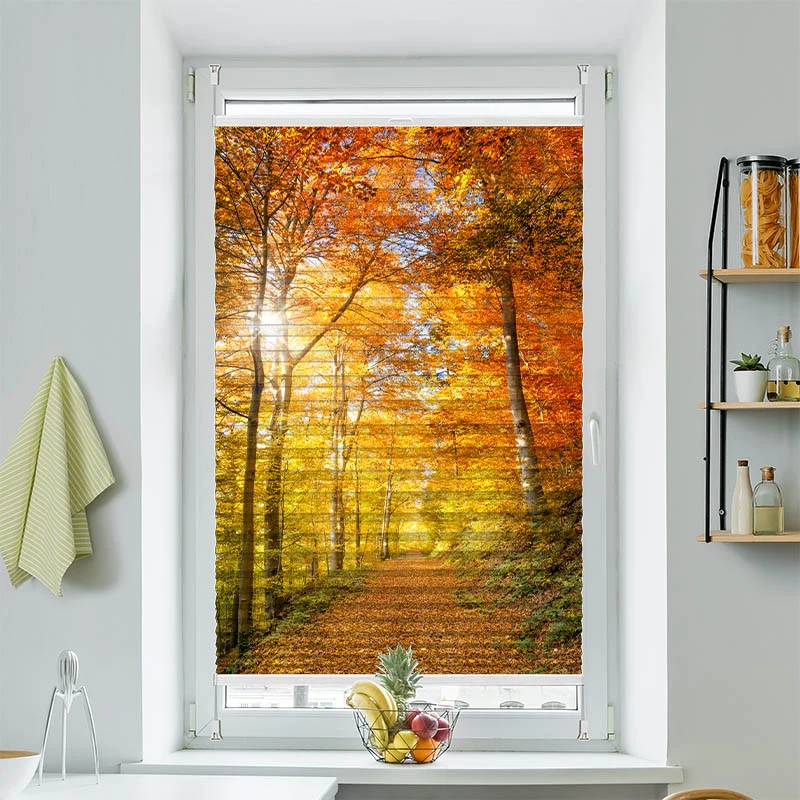 Wabenplissee Motiv "Waldweg Herbst"