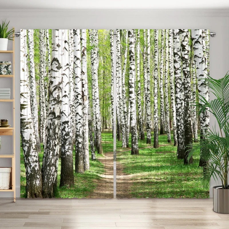 Vorhang Motiv "Birkenwald Weg"