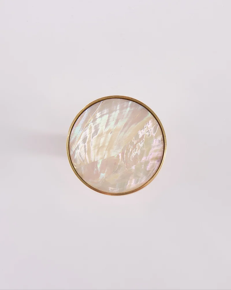 Seashell Curtain Wall Hook