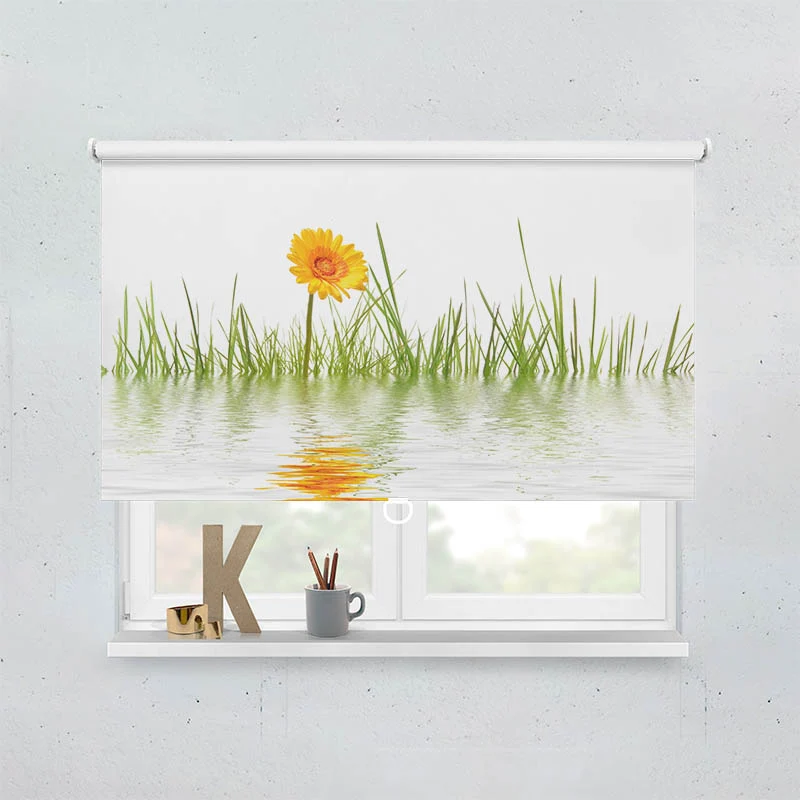 Springrollo Motiv "Gras im Wasser"