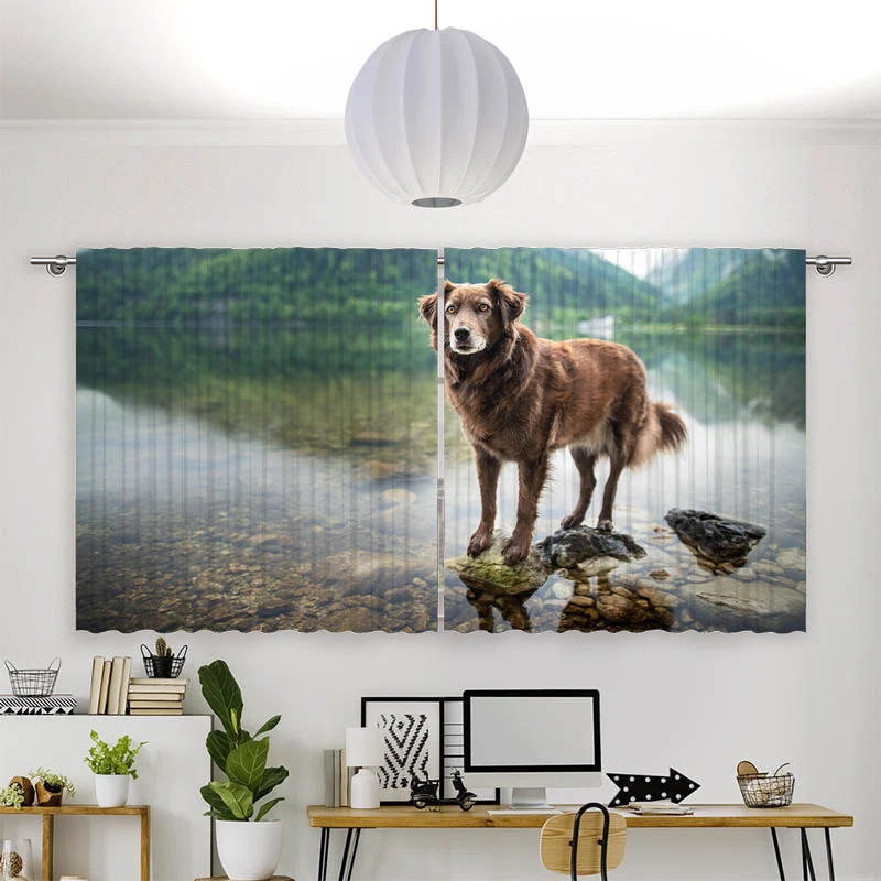 Vorhang Motiv "Hund am Bergsee"