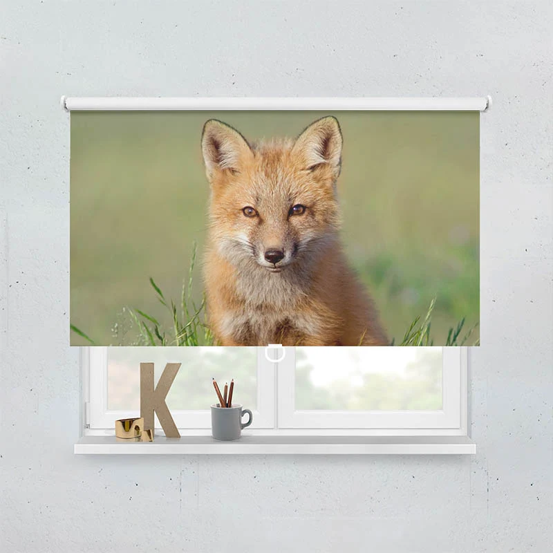 Springrollo Motiv "Fuchs"