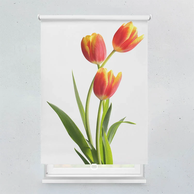 Springrollo Motiv "Tulpen"