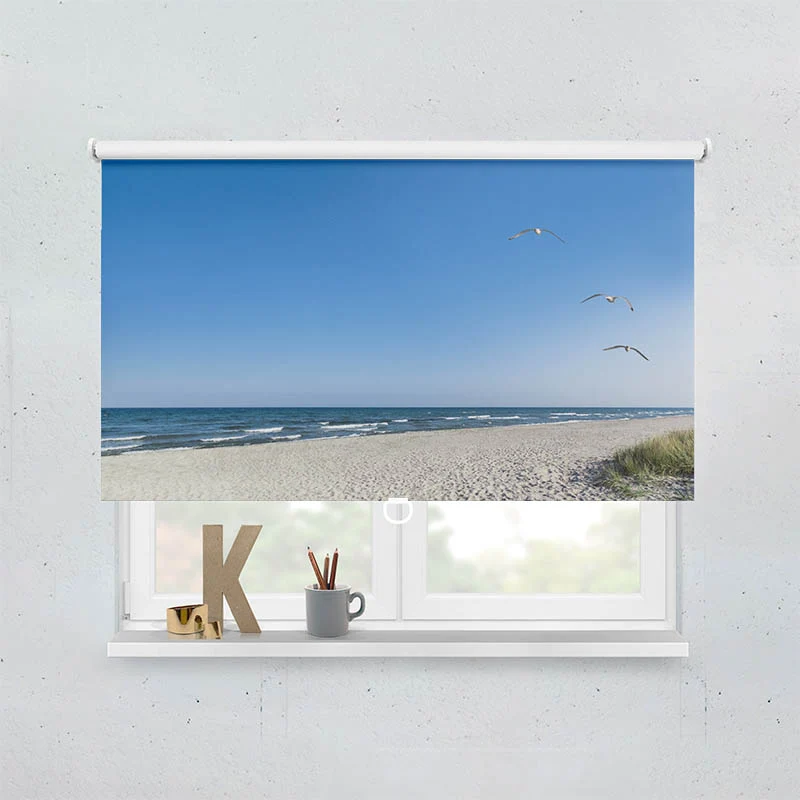 Springrollo Motiv "Strand mit Moewen"