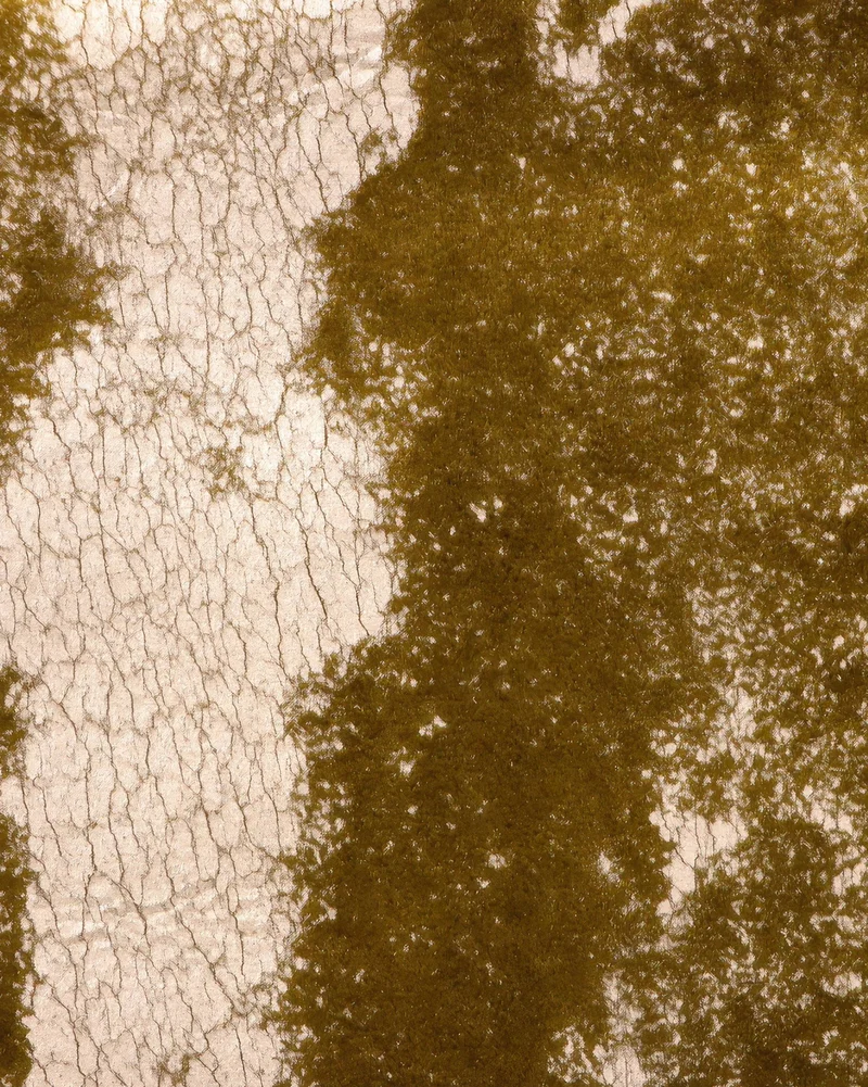 Casablanca Foil Printed Velvet Patterned Custom Curtain | Designed in Italy
