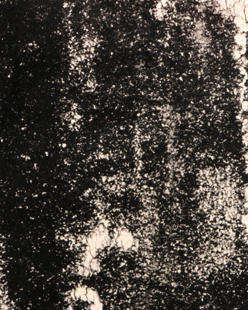 Casablanca Foil Printed Velvet Patterned Custom Curtain | Designed in Italy