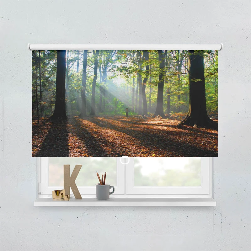 Springrollo Motiv "Wald Laub Sonne"