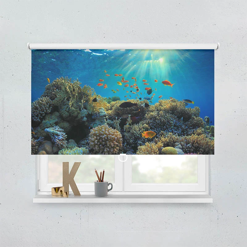 Springrollo Motiv "Fische im Ozean"