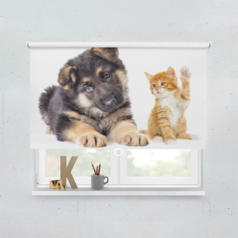 Springrollo Motiv "Welpe und Kitten"