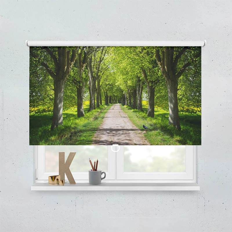 Springrollo Motiv "Schoene Allee"