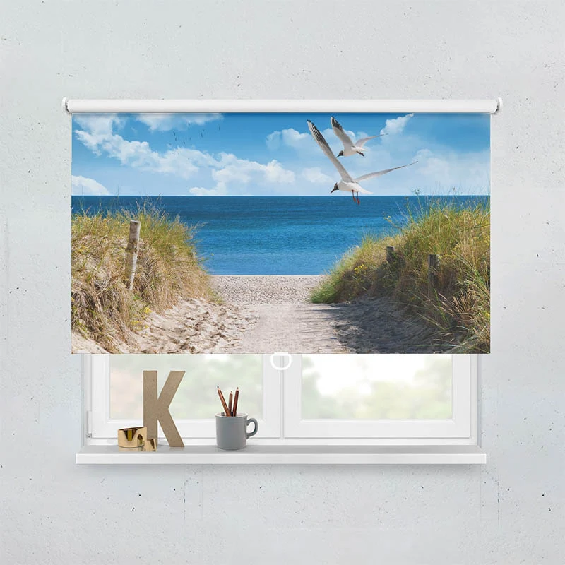 Springrollo Motiv "Duene Meer Moewen"