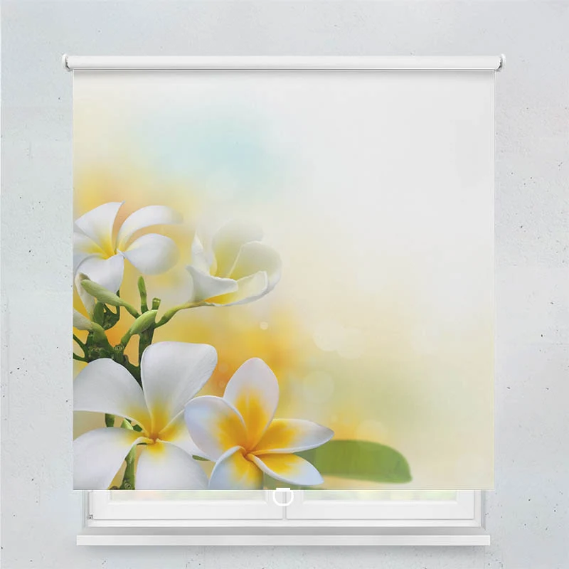 Springrollo Motiv "Frangipani"