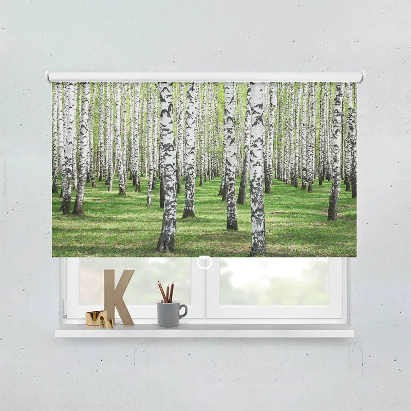 Springrollo Motiv "Birkenwald"