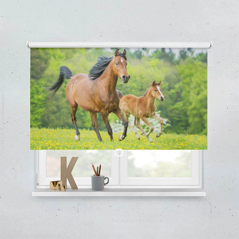 Springrollo Motiv "Pferd mit Fohlen"